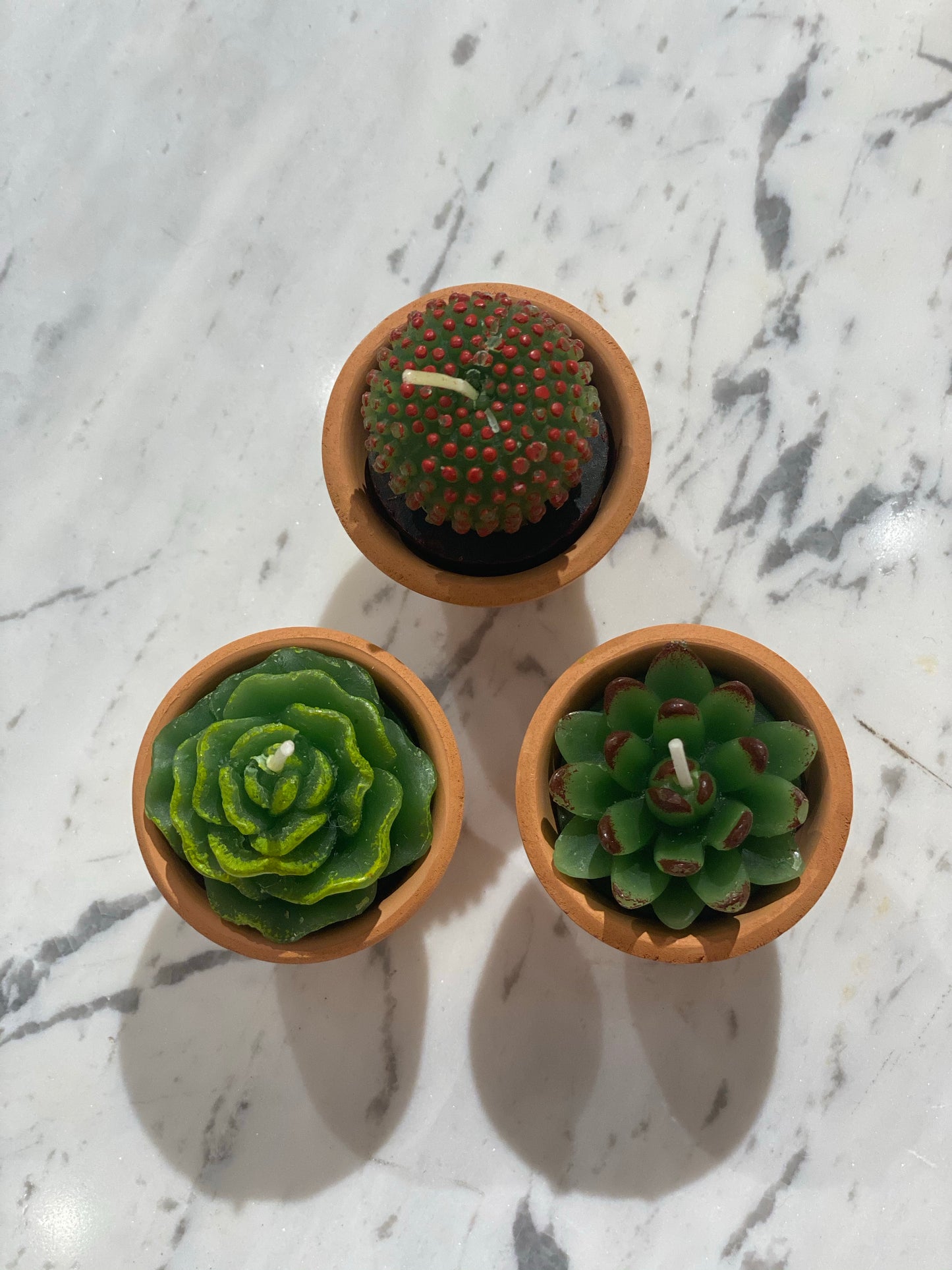 Succulent Candles (Set of 3) with Pots